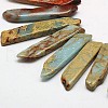 Chips Natural Aqua Terra Jasper Beads Strands G-N0131-18-2