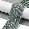 Natural Apatite Beads Strands G-RM250104-D3-2