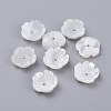 Natural Trochid Shell/Trochus Shell Beads BSHE-K054-19-10MM-1