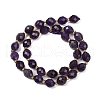 Natural Amethyst Beads Strands G-N342-149F-3