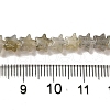 Natural Labradorite Beads Strands G-G085-B25-02-4