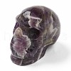 Halloween Natural Amethyst Home Decorations DJEW-K015-19-2