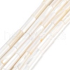 Freshwater Shell Beads Strands X-BSHE-L037-13-1