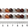 Dyed & Heated Natural Dragon Veins Agate Beads Strands G-P539-A01-10-5