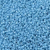 MIYUKI Delica Beads SEED-J020-DB0218-1