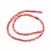 Natural Freshwater Shell Dyed Beads Strands X-SHEL-M018-11-07-2