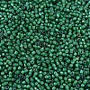 MIYUKI Delica Beads SEED-J020-DB1788-3