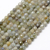 Natural Labradorite Beads Strands G-P322-28-4mm-1