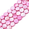 Freshwater Shell Beads Strands SHEL-T009-B16-03-1