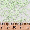 8/0 Opaque Glass Seed Beads SEED-S048-N-009-4