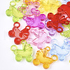 Transparent Acrylic Pendants TACR-S133-014-1