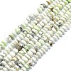 Natural American Turquoise(Jasper) Beads Strands G-F715-066-1