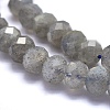Natural Labradorite Beads Strands G-O170-59C-3