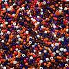 Baking Paint Glass Seed Beads X-SEED-S042-05B-49-3