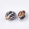 Spiral Shell Beads SSHEL-T008-24-2