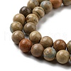 Natural Aqua Terra Jasper Beads Strands G-E444-14B-6mm-3