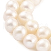 Natural Cultured Freshwater Pearl Beads Strands PEAR-C003-13F-4