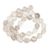 Natural Quartz Crystal Beads Strands G-U023-A07-01-3