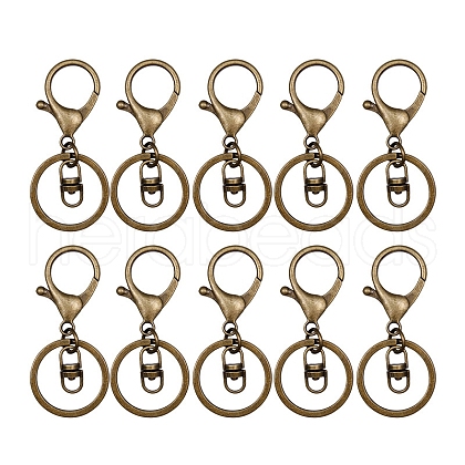 10Pca Iron with Zinc Alloy Keychain Clasps PW-WG98F39-01-1