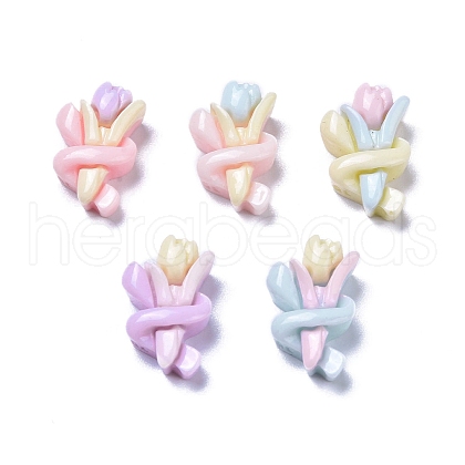 Opaque Cute Resin Decoden Cabochons RESI-B024-03L-1