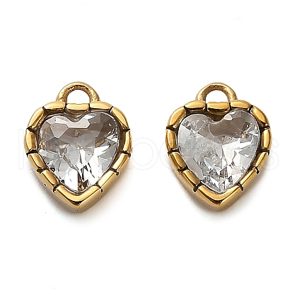 304 Stainless Steel Pendants STAS-H438-15G-06-1