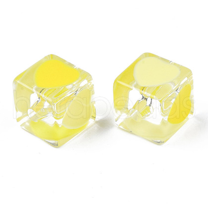 Transparent Acrylic Beads TACR-T004-10F-1