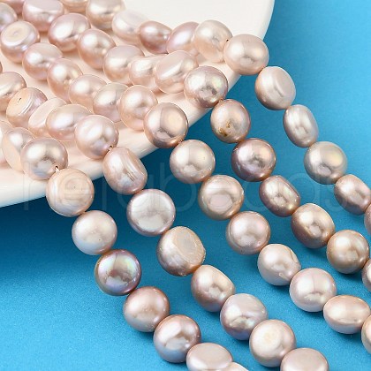 Natural Cultured Freshwater Pearl Beads Strands PEAR-P064-19I-03C-1