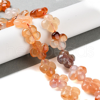 Natural Agate Beads Strands G-H024-C01-01-1