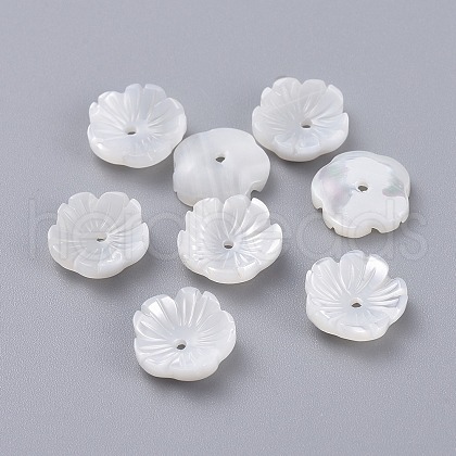 Natural Trochid Shell/Trochus Shell Beads BSHE-K054-19-10MM-1