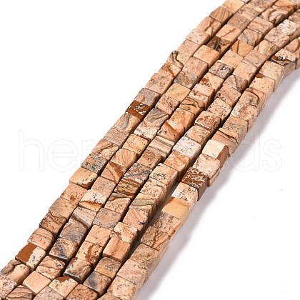 Natural Picture Jasper Beads Strands G-C240-01-1