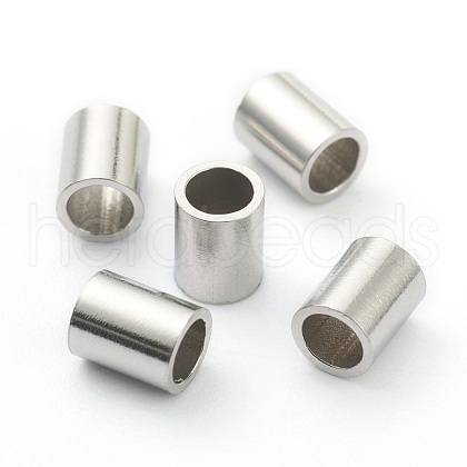 Non-Tarnish 304 Stainless Steel Beads STAS-H160-06B-P-1