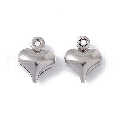 Non-Tarnish 304 Stainless Steel Charms STAS-G291-14P-1