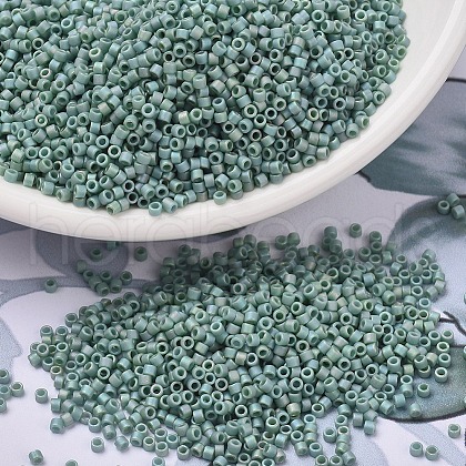 MIYUKI Delica Beads SEED-J020-DB2313-1