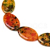 Dyed Natural Agate Beads Strands G-U029-F01-4