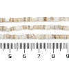 Natural Freshwater Shell Beads Strands X-BSHE-H109-13A-5