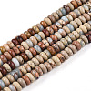 Natural Aqua Terra Jasper Beads Strands G-T140-71B-4