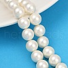 Shell Pearl Beads Strands BSHE-XCP0001-47-1