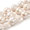 Natural Nucleated Pearl Beads Strands PEAR-E016-021-1