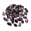 Natural Amethyst Beads G-O029-08G-1