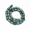 African Turquoise(Jasper) Beads Strands G-O170-109-2