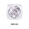12 Colors Shining Nail Art Decoration Accessories for Christmas MRMJ-R091-22-3