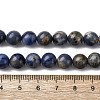 Natural Sodalite Beads Strands G-R015-B01-8mm-5
