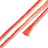 10 Skeins 6-Ply Polyester Embroidery Floss OCOR-K006-A59-3