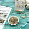 SUNNYCLUE Natural Rutilated Quartz Chip Beads G-SC0001-31-5