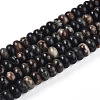 Natural Biotite Beads Strands G-T140-69A-4