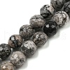 Natural Map Stone/Picasso Stone/Picasso Jasper Beads Strands G-C079-B05-02-1