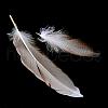 Chicken Feather Costume Accessories FIND-Q046-04-3