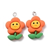 Resin Pendants RESI-C002-16-2