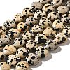 Natural Dalmatian Jasper Beads Strands G-R190-10mm-63-2