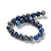 Dyed Natural Regalite/Imperial Jasper/Sea Sediment Jasper Beads Strands G-B124-C01-05-3